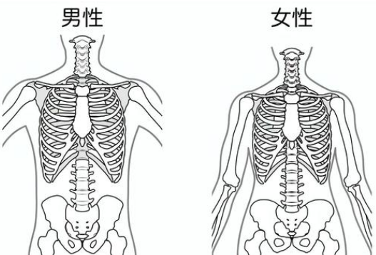 肩幅を狭くする鎖骨骨切りで女性的に変える